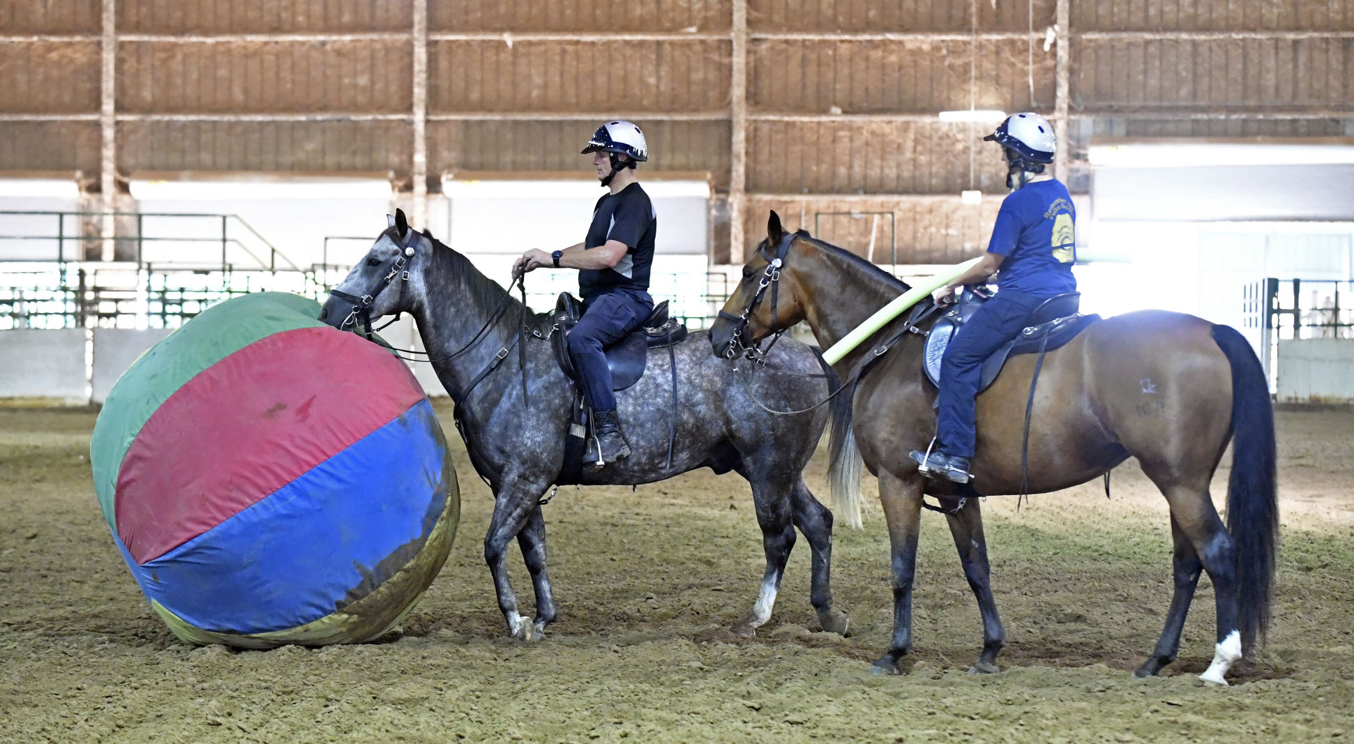 BR.brpdhorses.adv HS 027.JPG